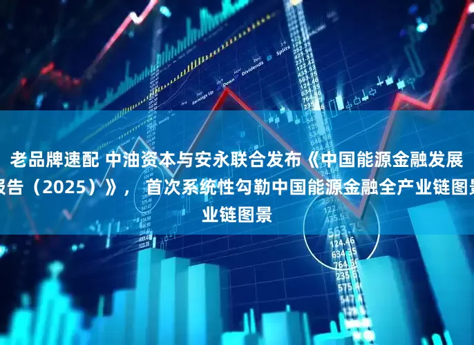 老品牌速配 中油资本与安永联合发布《中国能源金融发展报告（2025）》， 首次系统性勾勒中国能源金融全产业链图景